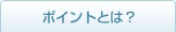ポイントとは？