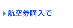 航空券購入で