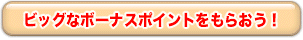 �r�b�O�ȃ{�[�i�X�|�C���g�����炨���I