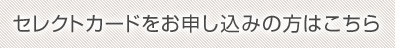 �Z���N�g�J�[�h�����\�����݂̕��͂�����
