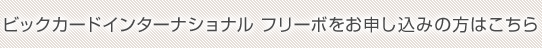 �r�b�N�J�[�h�C���^�[�i�V���i�� �t���[�{�ɂ��\�����݂̕��͂�����