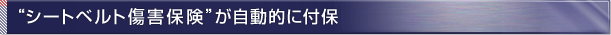 �g�V�[�g�x���g���Q�ی��h�������I�ɕt��