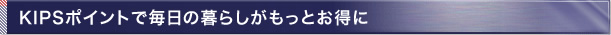KIPS�|�C���g�Ŗ����̕�炵�������Ƃ�����