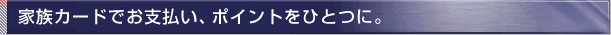 �Ƒ��J�[�h�ł��x�����A�|�C���g���ЂƂɁB