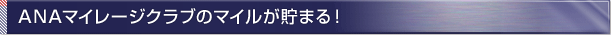 ANA�}�C���[�W�N���u�̃}�C�������܂�I