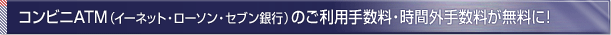 �R���r�jATM�i�C�[�l�b�g�E���[�\���E�Z�u����s�j�̂����p�萔���E���ԊO�萔���������ɁI