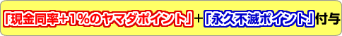 「現金同率+1%のヤマダポイント」+「永久不滅ポイント」付与