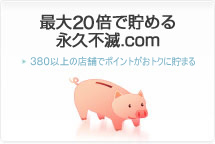 最大20倍で貯める永久不滅.com