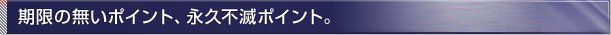 �����̖����|�C���g�A�i�v�s�Ń|�C���g�B