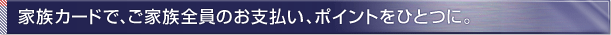 �Ƒ��J�[�h�ŁA���Ƒ��S���̂��x�����A�|�C���g���ЂƂ�