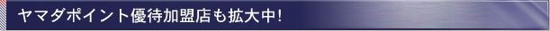 ���}�_�|�C���g�D�҉����X���g�咆�I