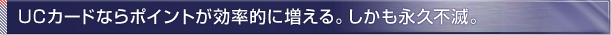 UC�J�[�h�Ȃ�|�C���g�������I�ɑ�����B�������i�v�s�ŁB