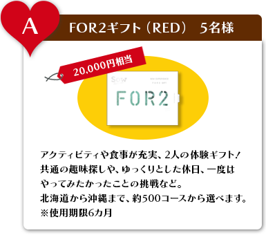 A:FOR2ギフト（RED）5名様