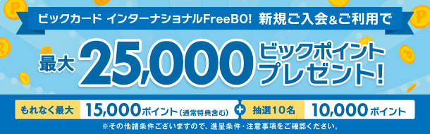 新規ご入会&ご利用で最大25,000ビックポイントプレゼント!2026年7月24日(金)〜9月30日(水)