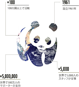 WWFのインフォグラフィック
