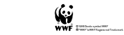 WWFカード