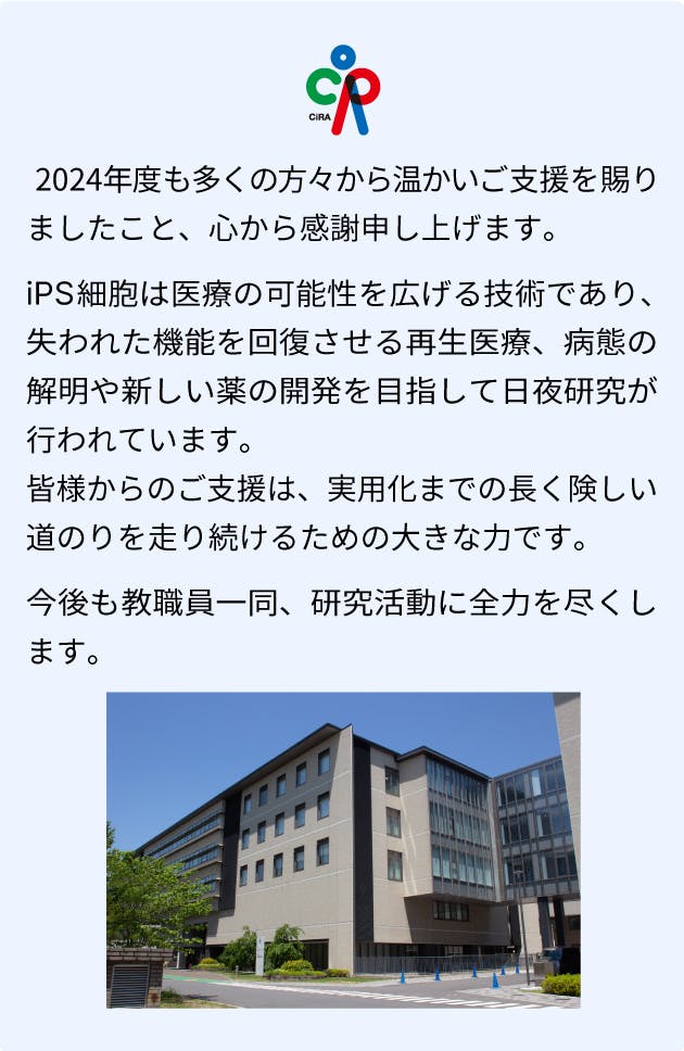 2024年度も多くの方々から温かいご支援を賜りましたこと、心から感謝申しあげます。
iPS細胞は医療の可能性を広げる技術であり、失われた機能を回復させる再生医療、病態の解明や新しい薬の開発を目指して日夜研究が行われています。皆様からのご支援は、実用化までの長く険しい道のりを走り続けるための大きな力です。
今後も教職員一同、研究活動に全力を尽くします。