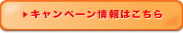 キャンペーン情報はこちら