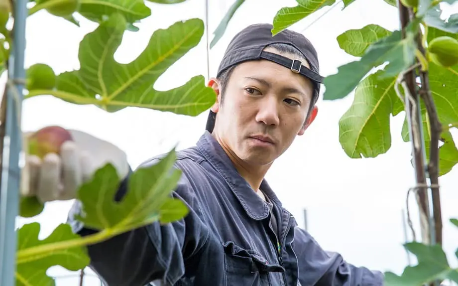 農家の男性