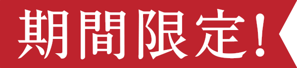 期間限定!