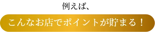 例えば、こんなお店でポイントが貯まる！