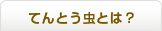 今月のてんとう虫